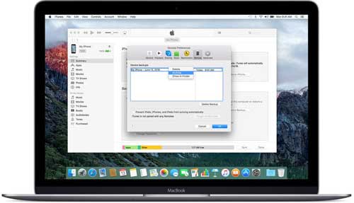 蘋果啟動 iOS 10 和 macOS Sierra 的 Public Beta推送