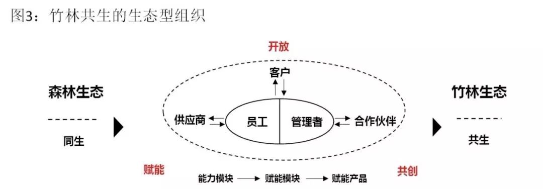 京東和聯(lián)合利華玩起“人才互換培養(yǎng)”，這是如何運(yùn)行的？