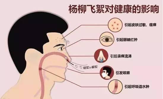 柳絮過敏讓你鼻子發(fā)癢，空氣堡新風系統(tǒng)讓你舒爽